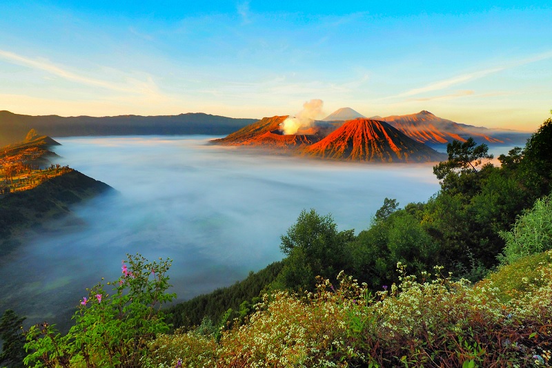 Bromo Tourist Destination